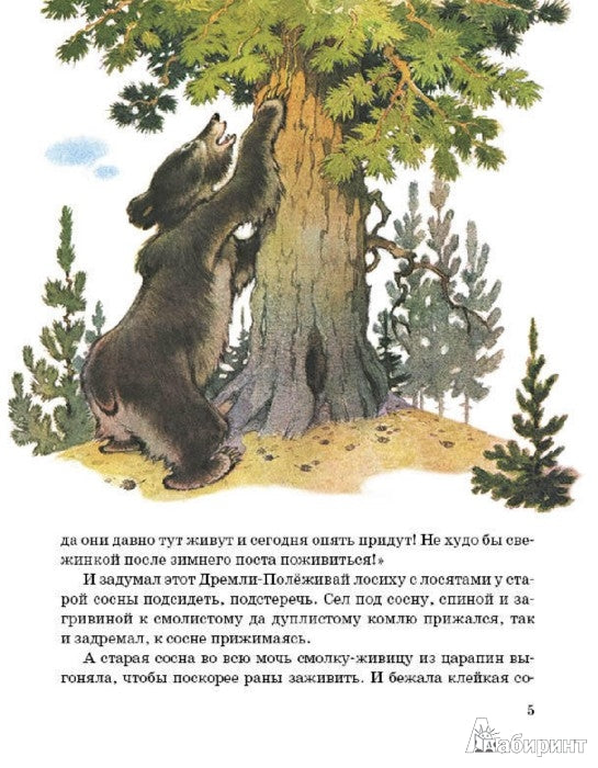 Как сосна лосяток спасала