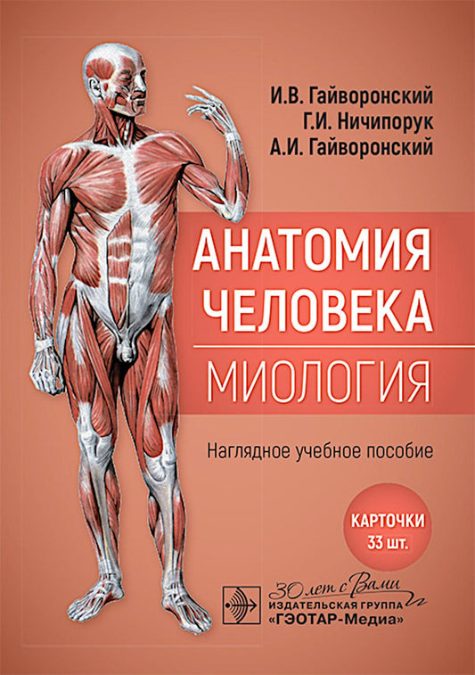 Анатомия человека. Миология. Карточки : наглядное учеб ное пособие / И. В. Гайворонский, Г. И. Ничипорук, А. И. Гайворонский. — Москва : ГЭОТАР-Медиа, 2025. — 33 двустор. карт. : ил.