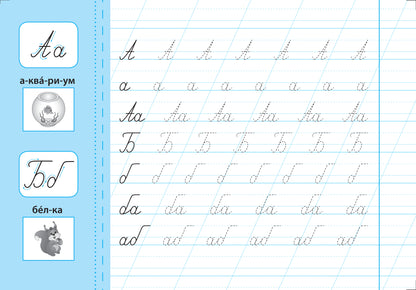 Пишу буквы правильно: прописи с наклейками для дошколят: 5+ дт