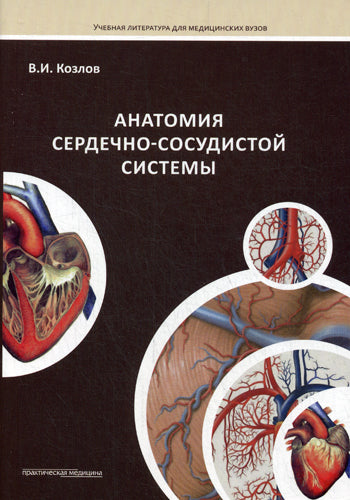 Анатомия сердечно-сосудистой системы. Козлов В.И.