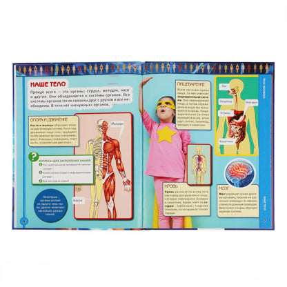 "УМКА". ТЕЛО ЧЕЛОВЕКА. (ЭНЦИКЛОПЕДИЯ А3). ТВЕРДЫЙ ПЕРЕПЛЕТ. БУМАГА МЕЛОВАННАЯ ПУХЛАЯ 130Г в кор.15шт