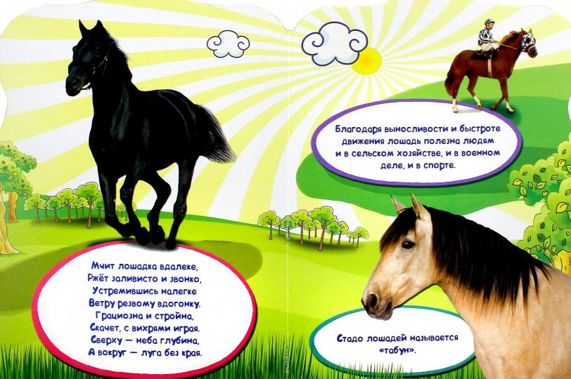 МИР ЖИВОТНЫХ. ДОМАШНИЕ ЖИВОТНЫЕ