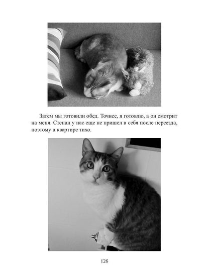 Кот, Домовой et Василий Иванович