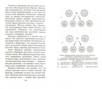 Краткая история биологии. От алхимии до генетики