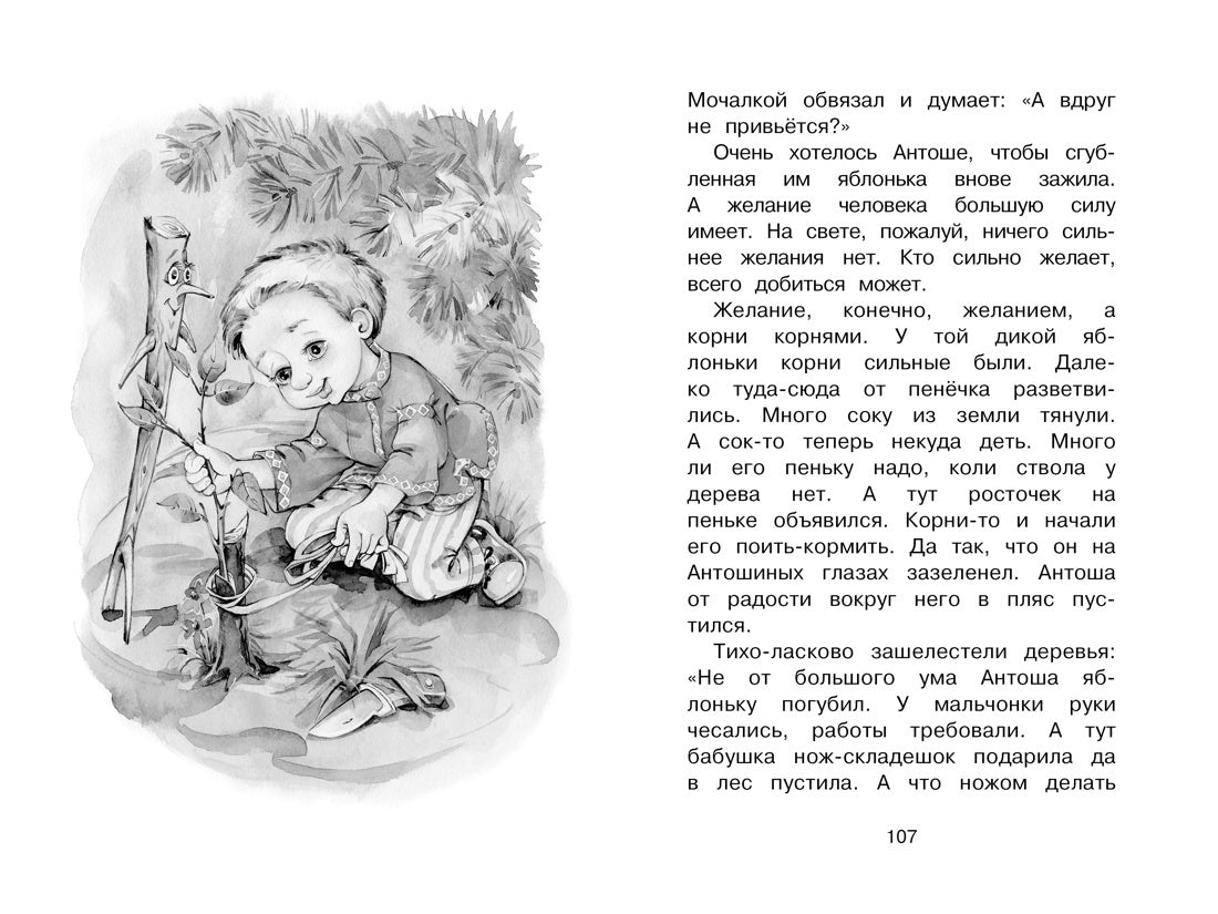 Волшебные краски. Рассказы и сказки