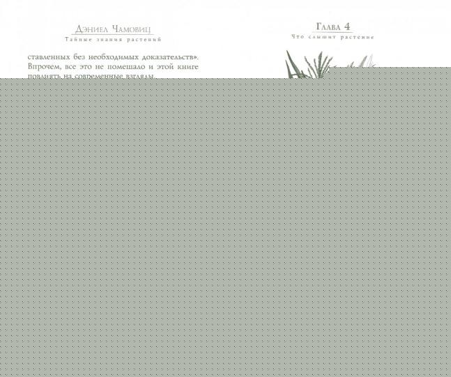 Тайные знания растений. Что видят, слышат и понимают цветы и деревья