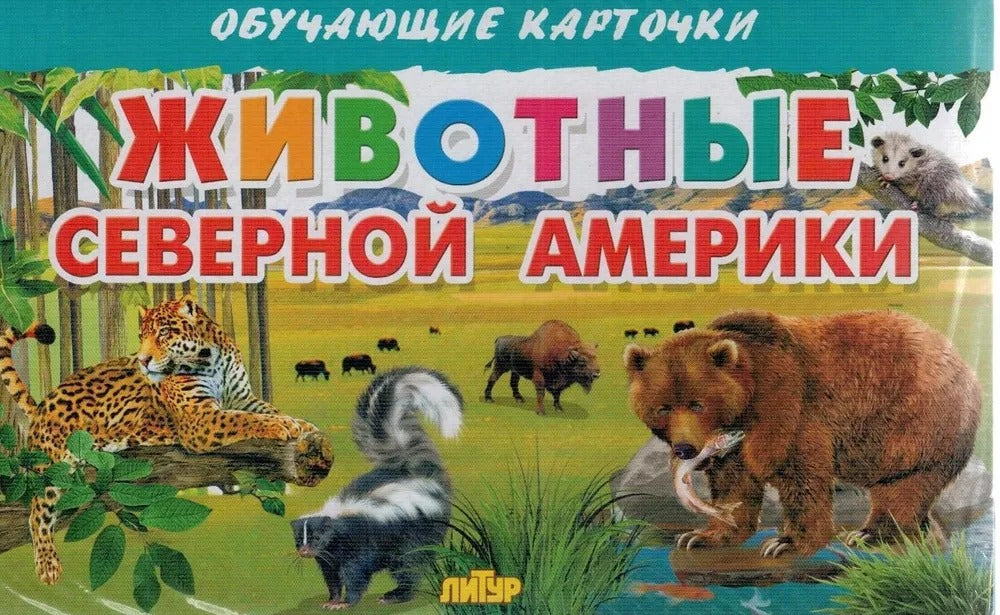 Cartes. Животные Северной Америки ; Cartes. Животные Северной Америки