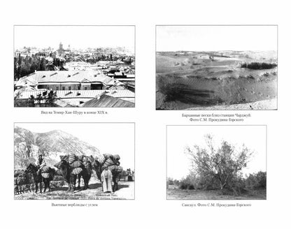 ВМ Поход в Хиву. 1873 год. Записки участника похода (12+)