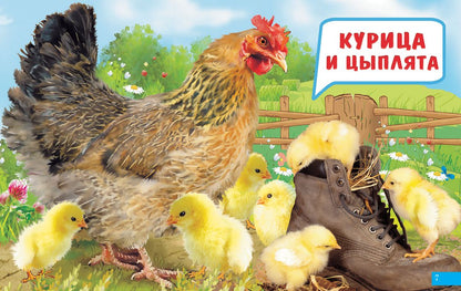 Карточки (европодвес). Мамы и детки ; Карточки (европодвес). Мамы и детки