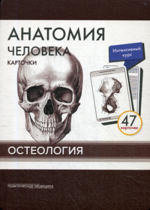 Анатомия человека: КАРТОЧКИ (47шт). Ostéologie. Structure anatomique russe et latine.