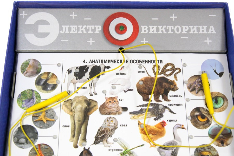 ДК.Игра Электровикторина "Живая природа" арт.02813