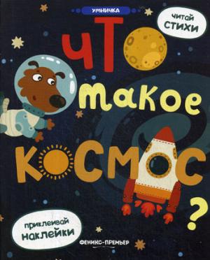 Что такое космос?: книжка с наклейками