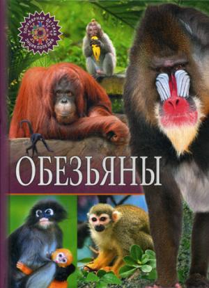 Обезьяны. Популярная детская энциклопедия