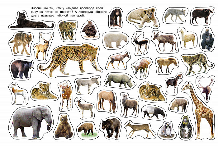 Album autocollant. Дикие животные