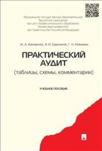 Практический аудит (таблицы, схемы, коммент).Уч.п